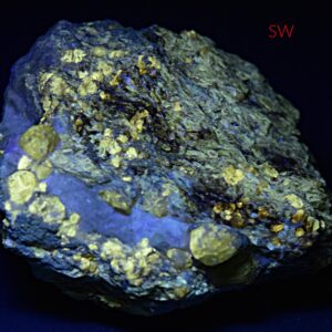 295 Gram Fluorescent Dravite Tourmaline Crystals Specimen from Afghanistan – Collector Mineral