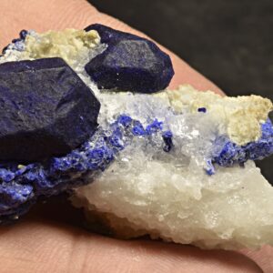 Lazurite Crystal Specimen with Phlogopite, Forsterite & Pyrite, Afghanistan