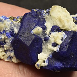 Royal Blue Lazurite Crystal Specimen with Forsterite and Pyrite, Afghanistan