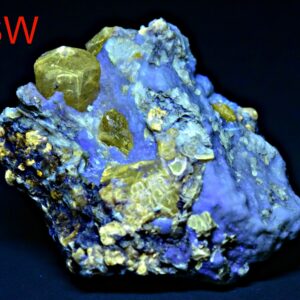 Fluorescent Dravite Tourmaline Crystal with Phlogopite, Afghanistan Specimen