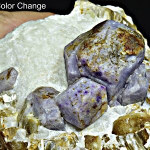 1160 Grams Fluorescent Phosphorescent Color Change Hackmanite With Fluorescent Phlogopite From Badakhshan Afghanistan