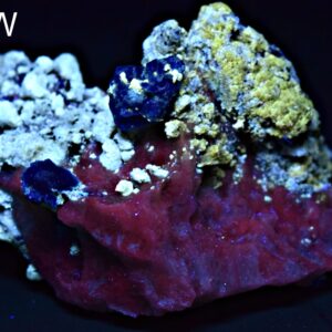 Lazurite Crystal Specimen on Fluorescent Calcite Matrix, Afghanistan