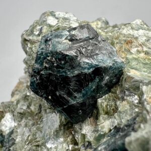 1160 Gram Terminated Dravite Tourmaline Crystals with Sapphire on Mica from Badakhshan Afghanistan