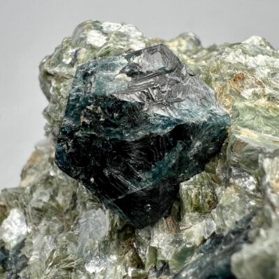 1160 Gram Terminated Dravite Tourmaline Crystals with Sapphire on Mica from Badakhshan Afghanistan