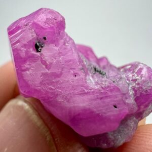 33 Carat Terminated Fluorescent Ruby Crystal with Pyrite from Jigdalok Afghanistan