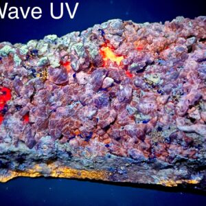 489 Gram Fluorescent Blue Afghanite Crystals Cluster Bunch on Matrix Specimen with Calcite, Lapis & Pyrite from Afghanistan