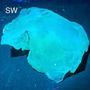 37 Carat Fluorescent Green Fluorite Crystal from Gilgit Pakistan | Phosphorescent UV Reactive Mineral Specimen