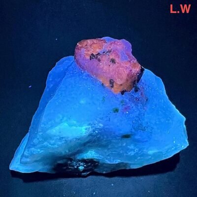 Fluorescent Scapolite Crystal with Epidote – Afghanistan Collector Mineral