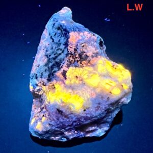 51 Gram Fluorescent Sodalite with Wernerite Scapolite Pyrite Calcite on Matrix from Afghanistan