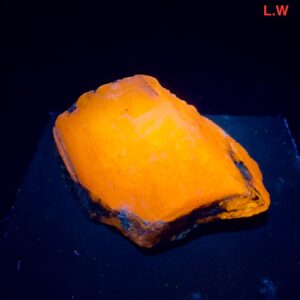 193 Carat Phosphorescent Hackmanite Specimen with Winchite from Afghanistan