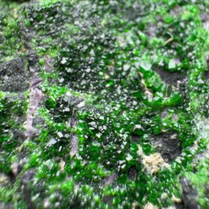 390 Grams Uvarovite Garnet Crystals on Matrix From Afghanistan